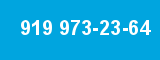 919 973-23-64